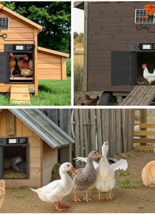 🚪✨ Puerta Automática Inteligente para Gallinero, Mascotas y Más 🐔🐇🐱🐶