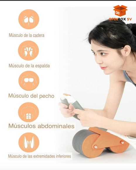 💪 Rodillo Abdominal de Entrenamiento Completo 🏋️♂️